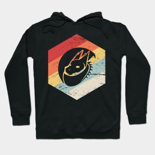 Retro 70s Dragon Icon Hoodie